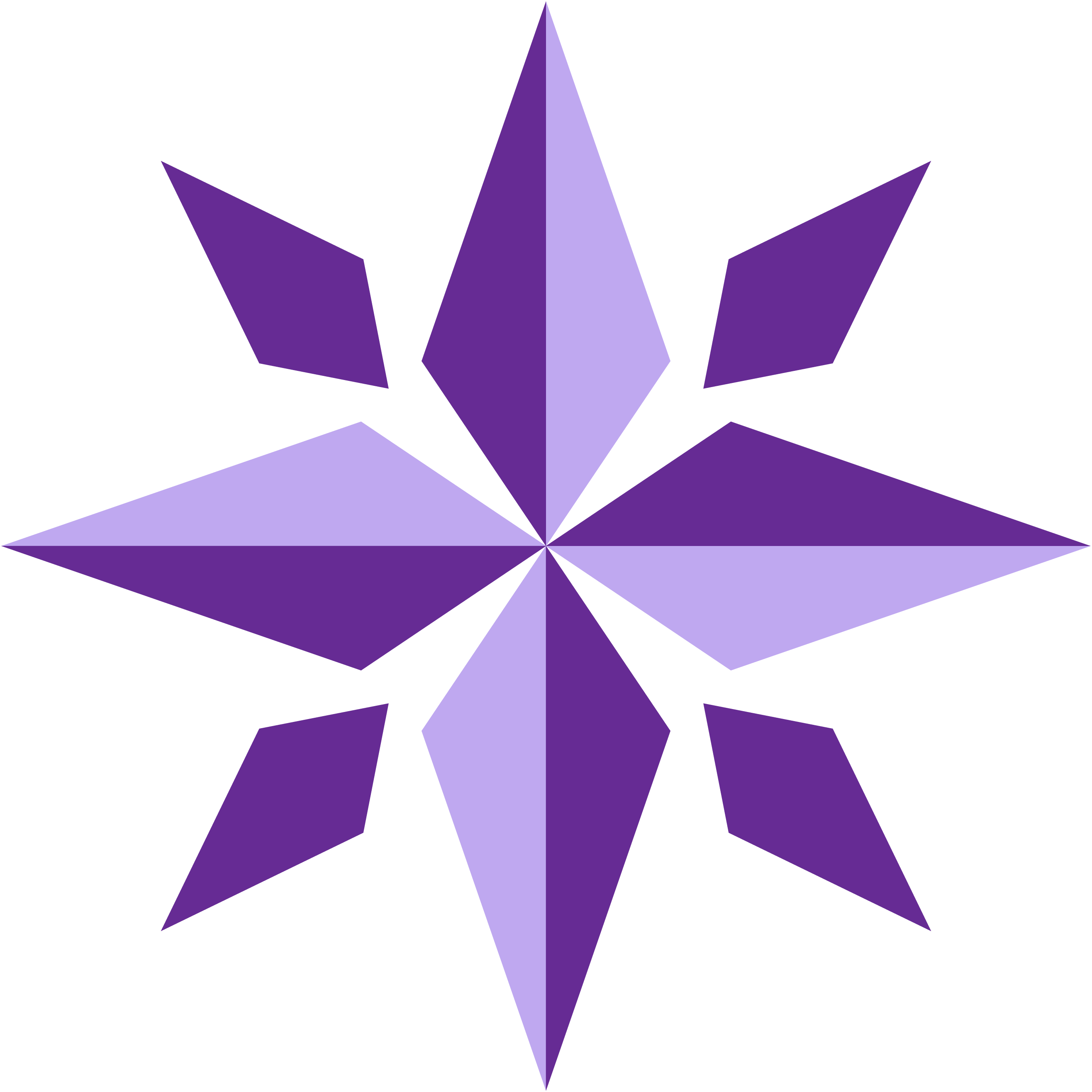 Purple Compass logo icon